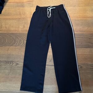 Aritzia Thesis Pant with Stripe